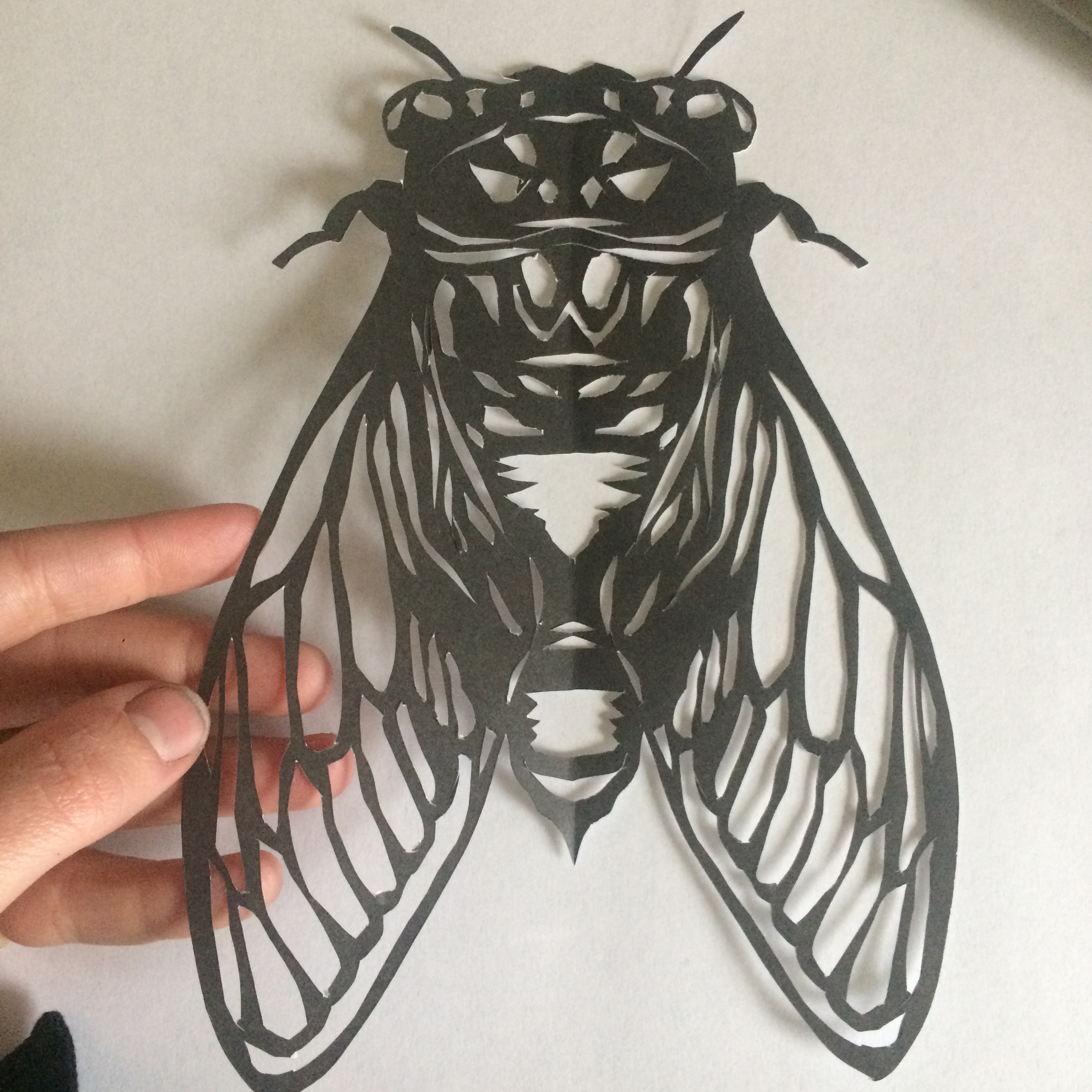 Paper Cutout Bug